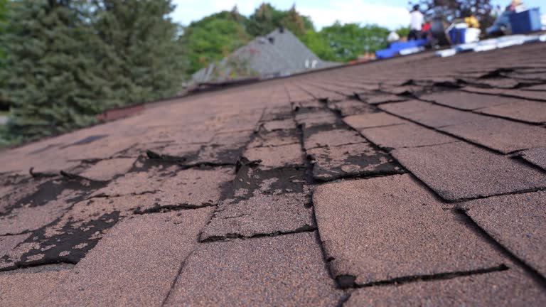 Professional Roofing Services in Greensboro, NC